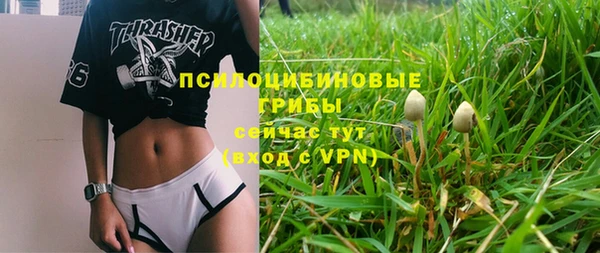 молекула духа Иннополис