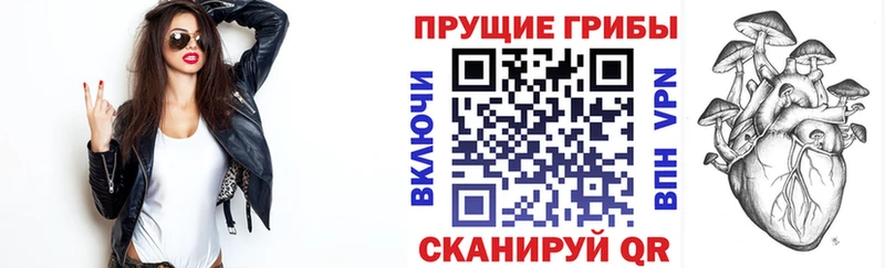 Галлюциногенные грибы мицелий  Кизляр 