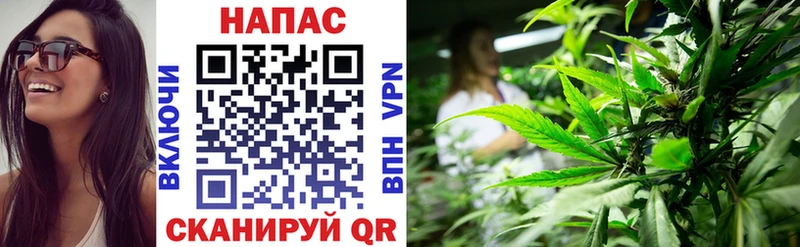 MEGA зеркало  Кизляр  нарко площадка состав  Шишки марихуана индика 